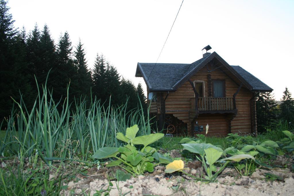 Sadyba Drymba Skhidnytsia ภายนอก รูปภาพ